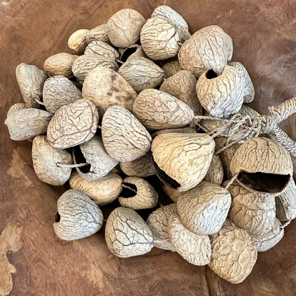 Natural seed shell percussion instrument home decor - Picture 4 of 4